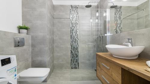 グダニスクにあるLeopold Winter Residence - BillBerry Apartmentsのバスルーム(洗面台、トイレ、シャワー付)