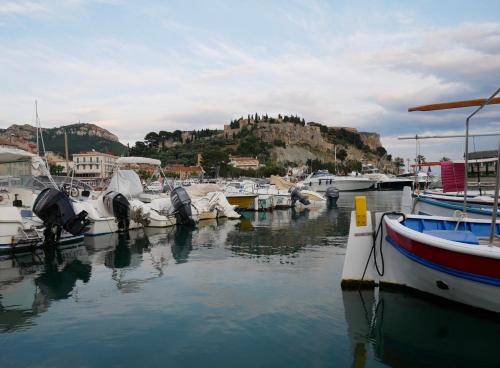 a bunch of boats are docked in a harbor at Le Biou in Cassis
