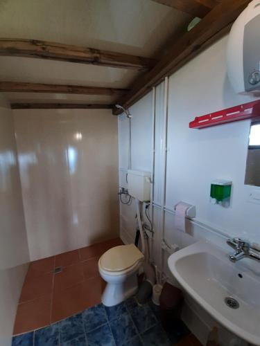 OrtsevoにあるВила Орцево Vila Ortsevoのバスルーム(トイレ、洗面台付)