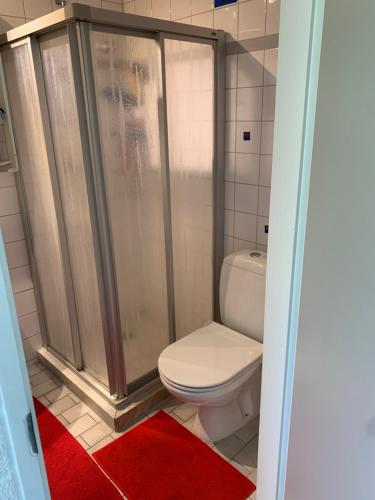 a bathroom with a toilet and a shower at Bungalow36 - Petten in Petten