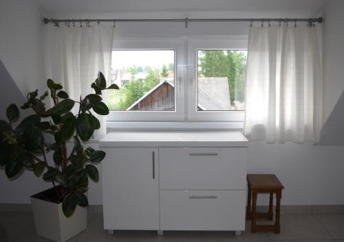 a white kitchen with a window and a potted plant at Apartamenty u Majki in Frydman