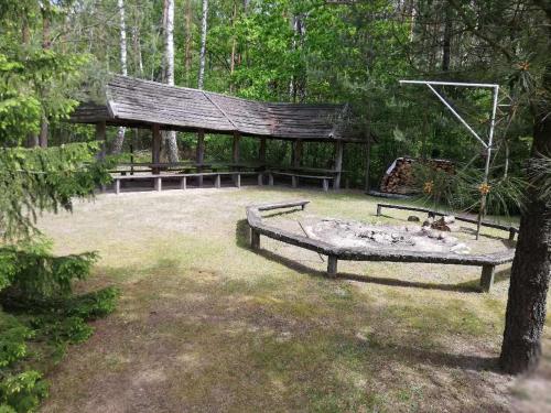 TucznaにあるAgroturystyka "Leśne Zacisze na Podlasiu"のブランコ付き公園