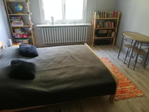 1 dormitorio con cama, mesa y ventana en Agroturystyka "Leśne Zacisze na Podlasiu", en Tuczna