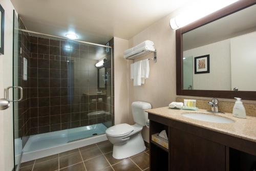 a bathroom with a toilet and a shower and a sink at Victoria Inn Hotel & Convention Centre Brandon in Brandon