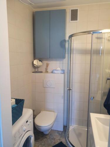 uma casa de banho com um WC e um chuveiro em Apartament Ohar em Sztutowo