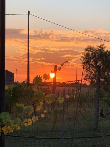 a sunset in a field with the sun in the sky at B&B Beauty House in Cesena