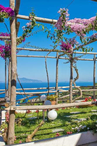 a fence with flowers on it with the ocean in the background at Hotel Il Girasole in Anacapri