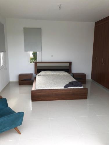 a bedroom with a bed and a blue couch at Oasi Rejuve Poseidon in Meneou