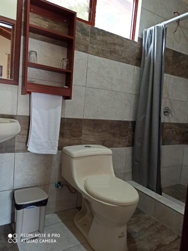 a bathroom with a toilet and a sink and a shower at Eco Arazzá in Mera