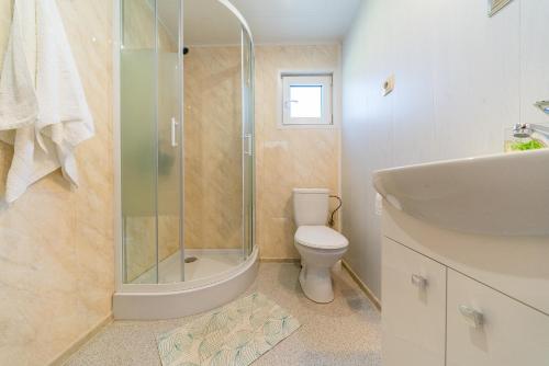a bathroom with a shower and a toilet and a sink at Domki u Polki in Sławoszyno