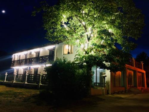 un edificio con un árbol delante de él por la noche en Villa Adrian en Shkorpilovtsi