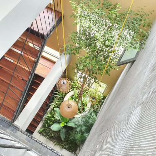 an overhead view of a balcony with plants at Cagina Boutique Hostel in Dong Hoi