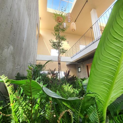 a room filled with lots of green plants at Cagina Boutique Hostel in Dong Hoi