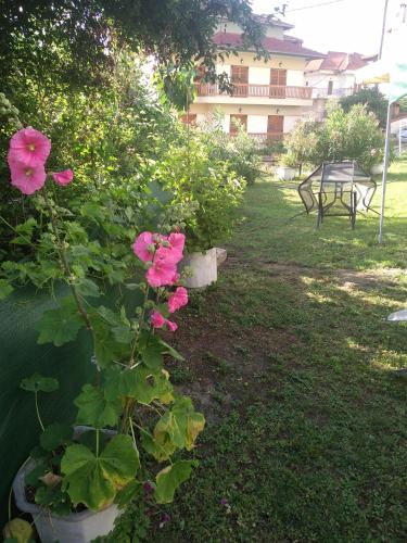 Jardin de l'établissement Pension Olympus