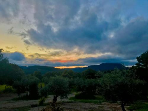 a view of a sunset from a field with trees at Casa Rural Cortijo La Ajedrea in Siles