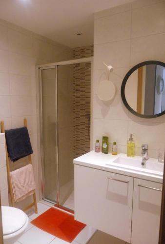 une salle de bain avec une douche, un lavabo et un miroir dans l'établissement Le Studio Stanislas, à Colmar