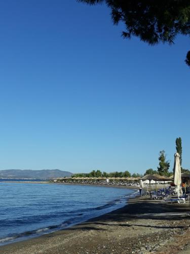 Gorjelina `s House