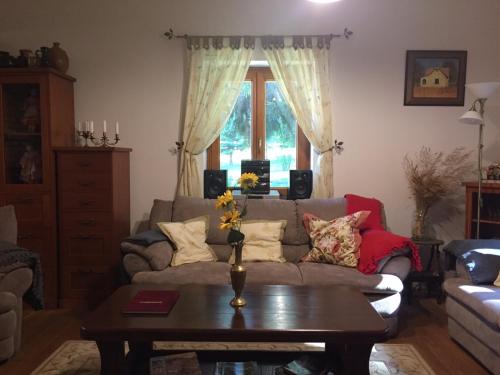 a living room with a couch and a coffee table at Erdő szélén házikó in Porva