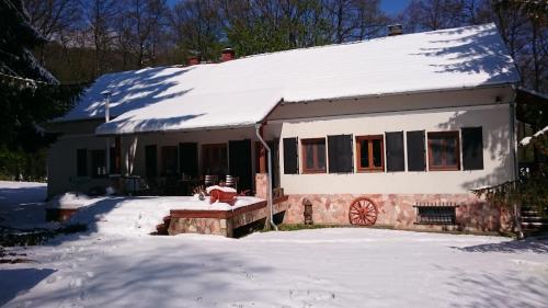 a house covered in snow with a dog sitting in front at Erdő szélén házikó in Porva