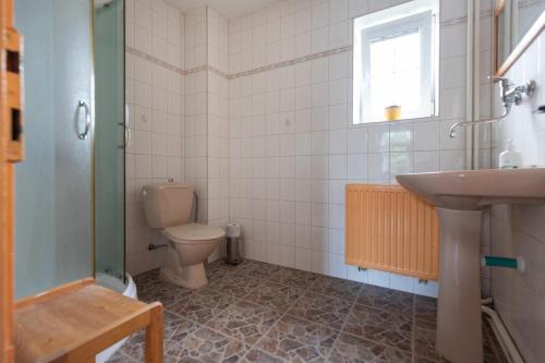 a bathroom with a toilet and a sink at Pension Vetrny Vrch in Ostrov