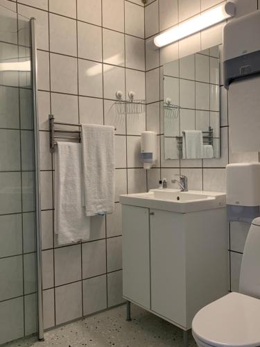 y baño con lavabo, aseo y espejo. en Dana Cup SportsCenter, en Hjørring