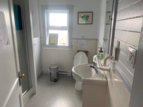 ein Bad mit einem Waschbecken, einem WC und einem Fenster in der Unterkunft Tofino Paddlers Inn in Tofino