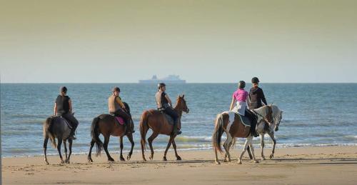 a group of people riding horses on the beach at camping de warincthun in Audinghen