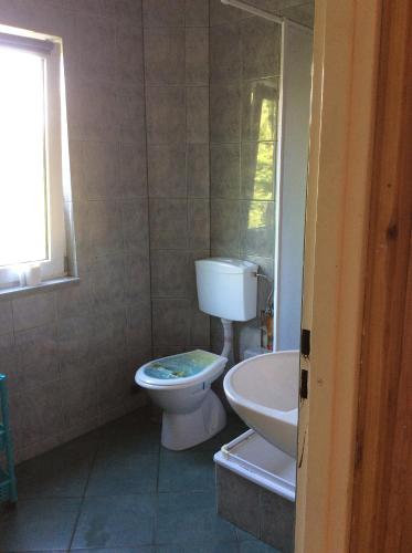 a bathroom with a toilet and a sink at Domek letniskowy Wczasowik 2 in Kruklanki