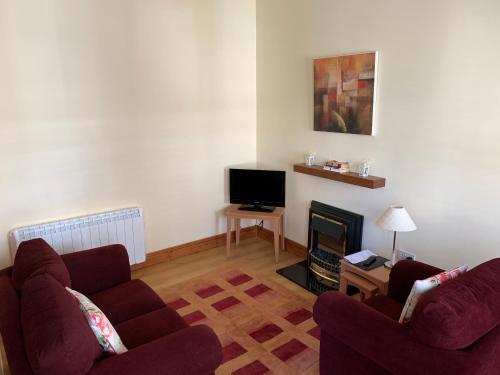 een woonkamer met 2 banken en een tv bij Killiane Castle Country House & Farm in Wexford