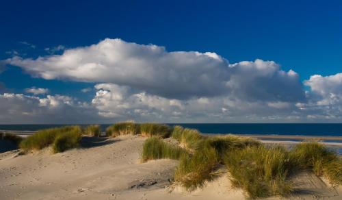 a field of sand with the ocean in the background at Veers Vertier in Veere
