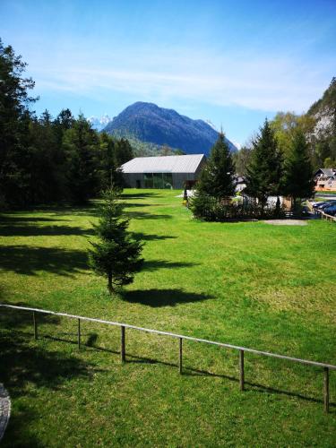 a christmas tree in a field with a fence at Apartma Lucijana in Mojstrana
