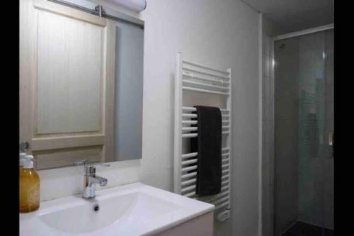 une salle de bain avec un lavabo et une douche en verre dans l'établissement Cauterets coeur village grand duplex 11 couchages, à Cauterets