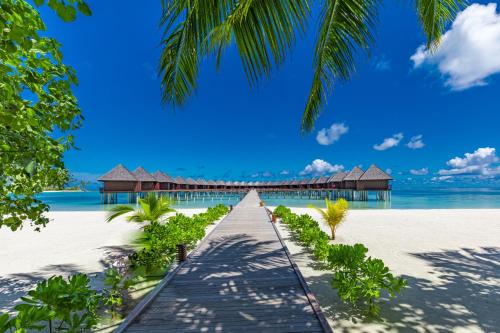 a pathway to a resort on a beach with palm trees at Sun Siyam Olhuveli in South Male Atoll