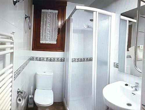 een badkamer met een toilet, een douche en een wastafel bij Casa Ortiz in Nerín