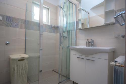 W łazience znajduje się umywalka i przeszklony prysznic. w obiekcie Dagulo w Primošten