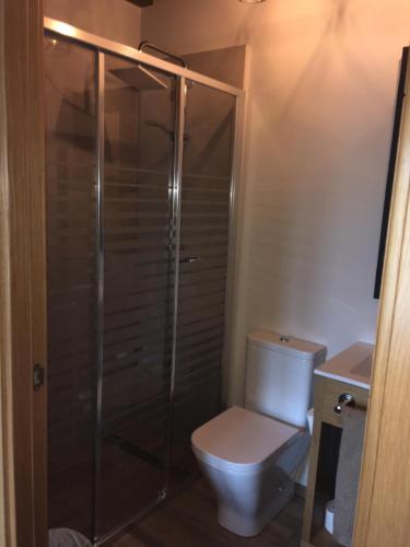a bathroom with a toilet and a glass shower at ETXEARTZI in Arciniega