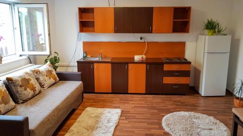 a living room with a couch and a kitchen at Lend two room house in Miercurea-Ciuc