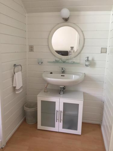 a bathroom with a sink and a mirror at Seulle State in Sint Jacobiparochie