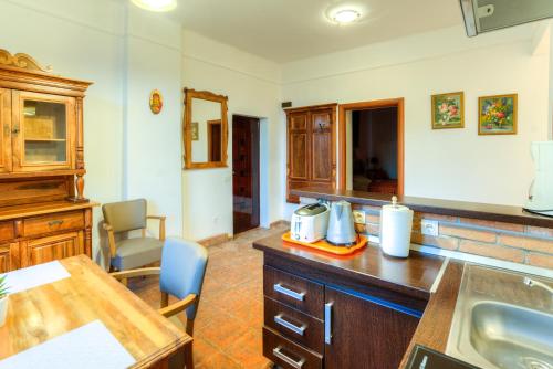 a kitchen with a sink and a counter top at House of Dragons Apartments in Sighişoara