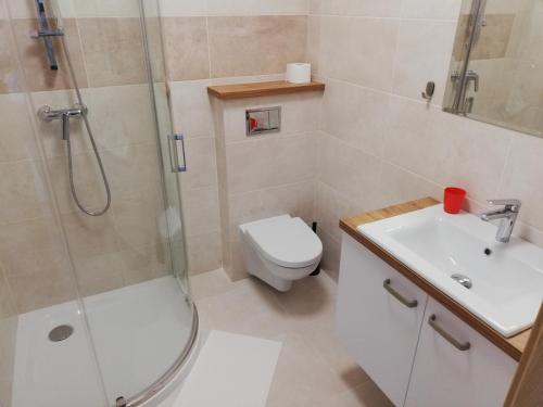 a bathroom with a shower and a toilet and a sink at Willa Mazury in Iława