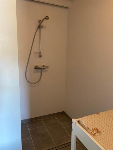 eine Dusche in einem Zimmer mit einem Bett in der Unterkunft Bregnedalsgaard Bondegårdsferie in Hobro