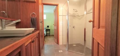 uma casa de banho com um chuveiro e um lavatório. em Treetops Hideaway Albury em Albury