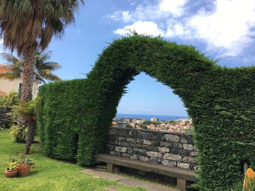 a hedge arch over a bench in a garden at Casa Charmosa in Funchal
