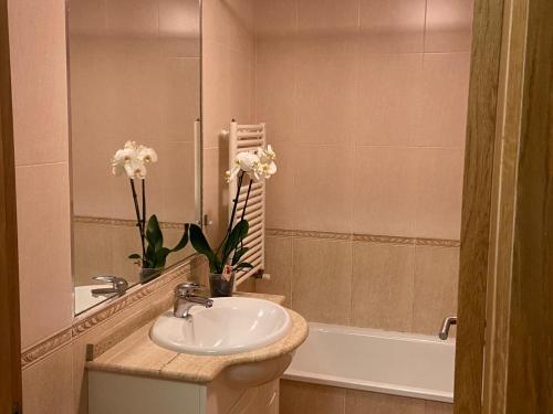 a bathroom with a sink and a tub with flowers at Estudio Parking Centro Puerta del Sol in Vigo