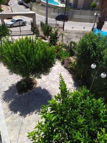 Gallery image of Nymphes Apartments in Selianitika