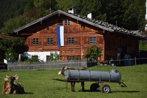 two cows sitting in the grass in front of a wooden house at Ferienwohnung Schankwirtschaft Wohlfart in Pfronten