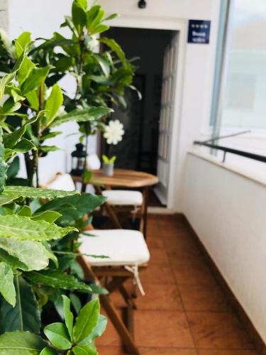 Φωτογραφία από το άλμπουμ του Apartments - Rooms VESNA σε Primošten