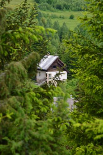 a house in the middle of a forest of trees at Vila Mira Zlatar in Nova Varoš
