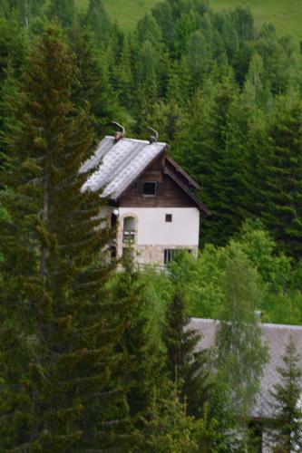 a house in the middle of a forest of trees at Vila Mira Zlatar in Nova Varoš