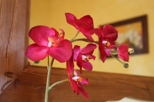 a group of red flowers in a vase on a table at Affittacamere Les Noyers in Verrayes